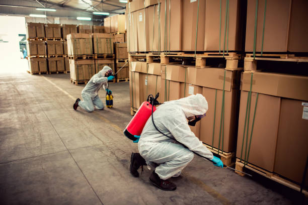 Best Pest Prevention Services  in Kissee Mills, MO